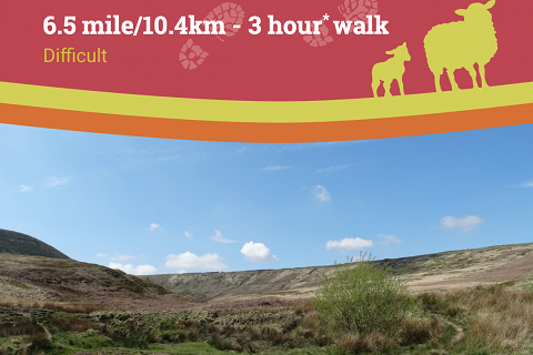 Guided walk along the 'Mesolithic March Hill' trail - Sun 1st Aug 2021