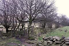 Free Walk Leaflets